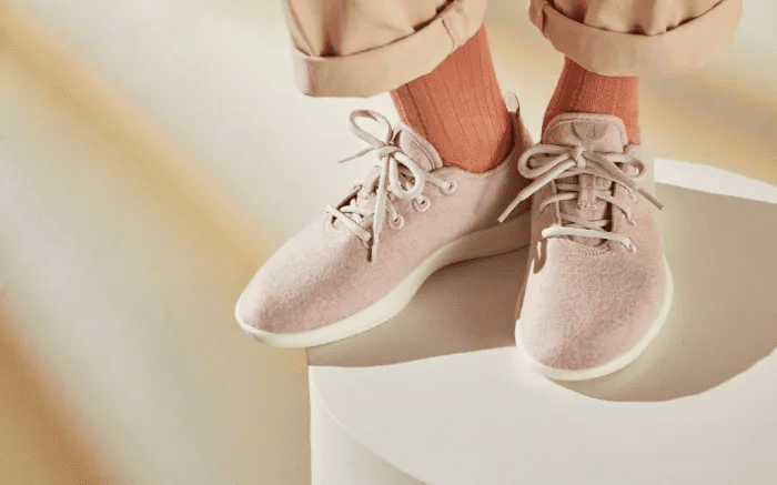 Схематичне зображення анатомії стопи