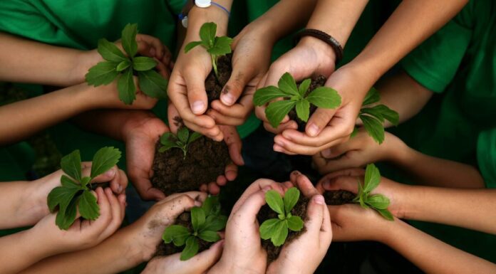 Zero waste дома: первые шаги к экожизни