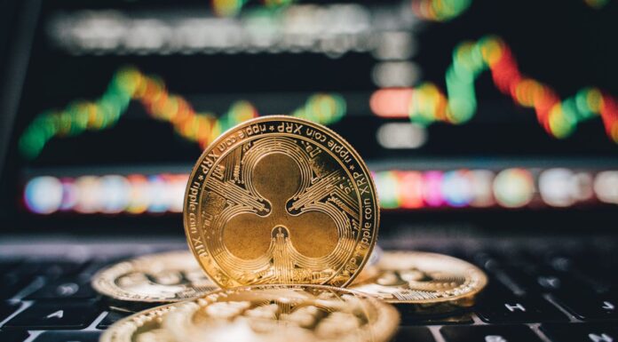 Обмен криптовалюты для новичков: советы от экспертов ExchangeMafia
