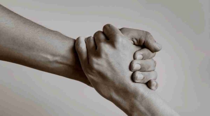 Сила благодарности: как ежедневная практика может изменить ваше отношение к жизни и улучшить настроение