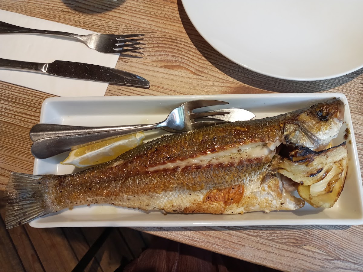 Roppongi & La Terrazza ( R&T) — Restaurant
