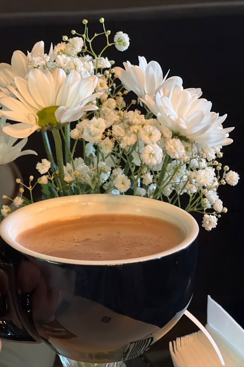 13 coffee bar